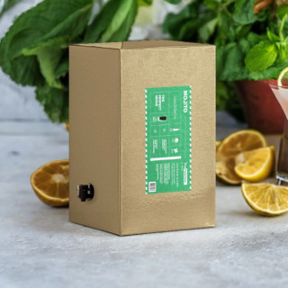 BIB MOJITO 5 Litres - The Fetichist