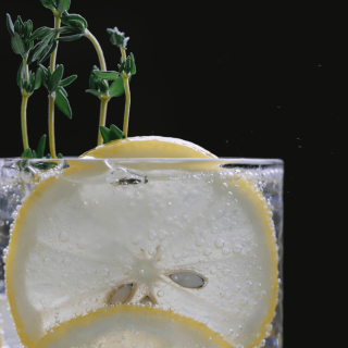 verre de cocktail serpolette