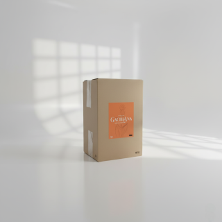 Photo studio du BIB Gachiana 5L, spiritueux à base de gentiane, sur fond blanc épuré.