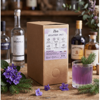 Verre cocktail Aviation couleur violette servi sur glace - Liqueur de Sapin et Vodka