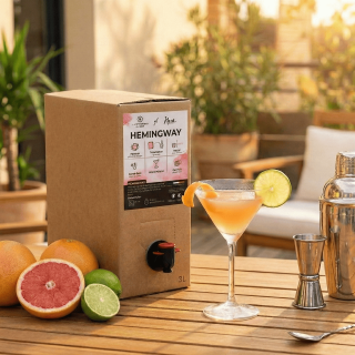 Cocktail Hemingway Daïquiri robe rosée servi en coupe avec zeste pamplemousse - Ambiance terrasse