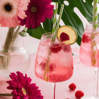 Gros plan sur un verre de cocktail Virgin Pink Tonic sans alcool