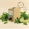 CUBA Menthe & Citron Vert en Cubi BIB 3L - Le Cordial