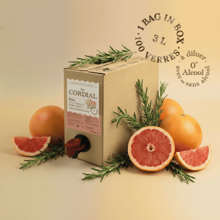 Cubi de 3 litres de cordial artisanal Pamela saveur pamplemousse et romarin, entouré de fruits frais