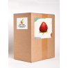 Compote Bio Pomme - Fraise poche de 4 kg - Le Mas de l'Armandine