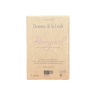 Bourgueil BIB 5L - Domaine...