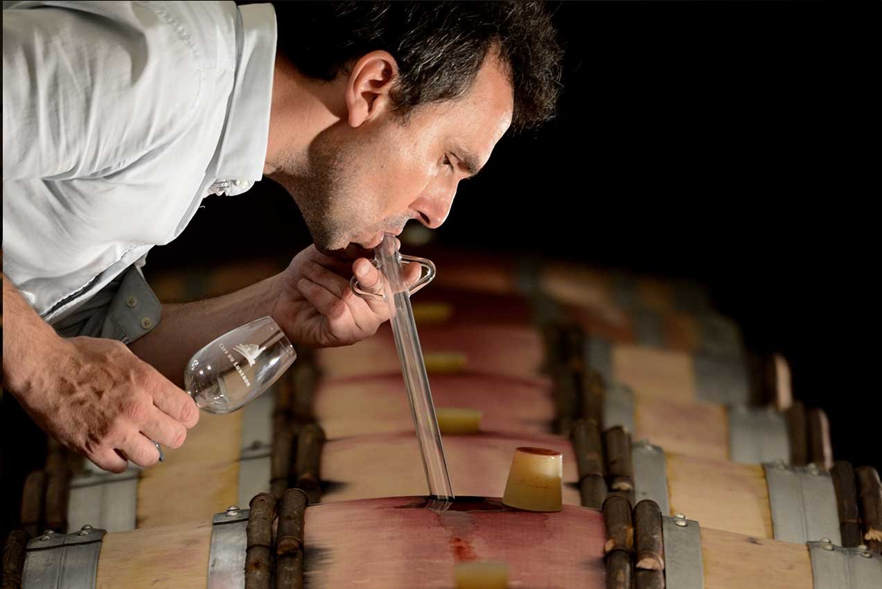 Cépages Rolle Syrah et Grenache des vins du Luberon