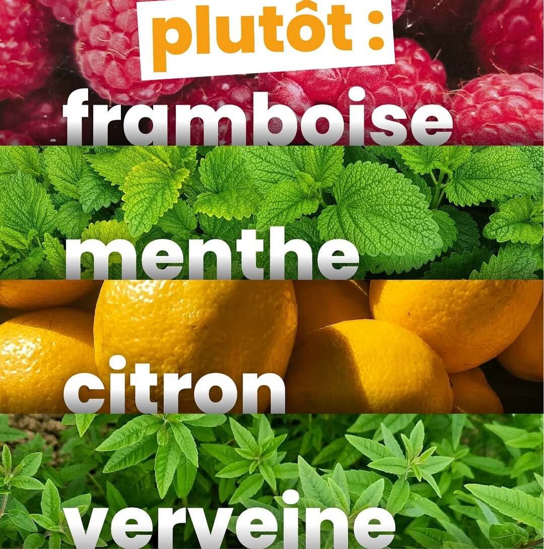 Liqueur artisanale de menthe limoncello framboise verveine