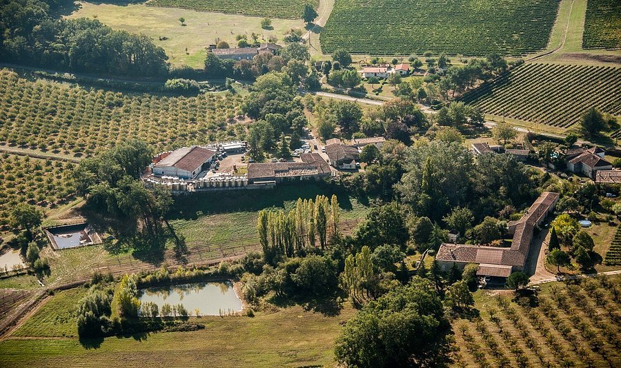 Vignoble de 300 hectares des Domaines Fontana, achat de vin rouge en fontaine 5L