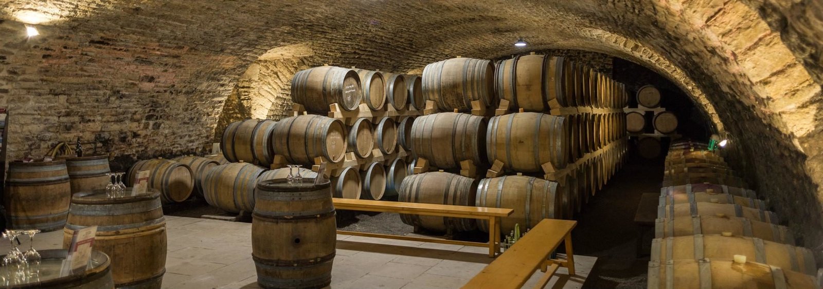 Cave voûtée du château et vins de Bourgogne en Fontaine