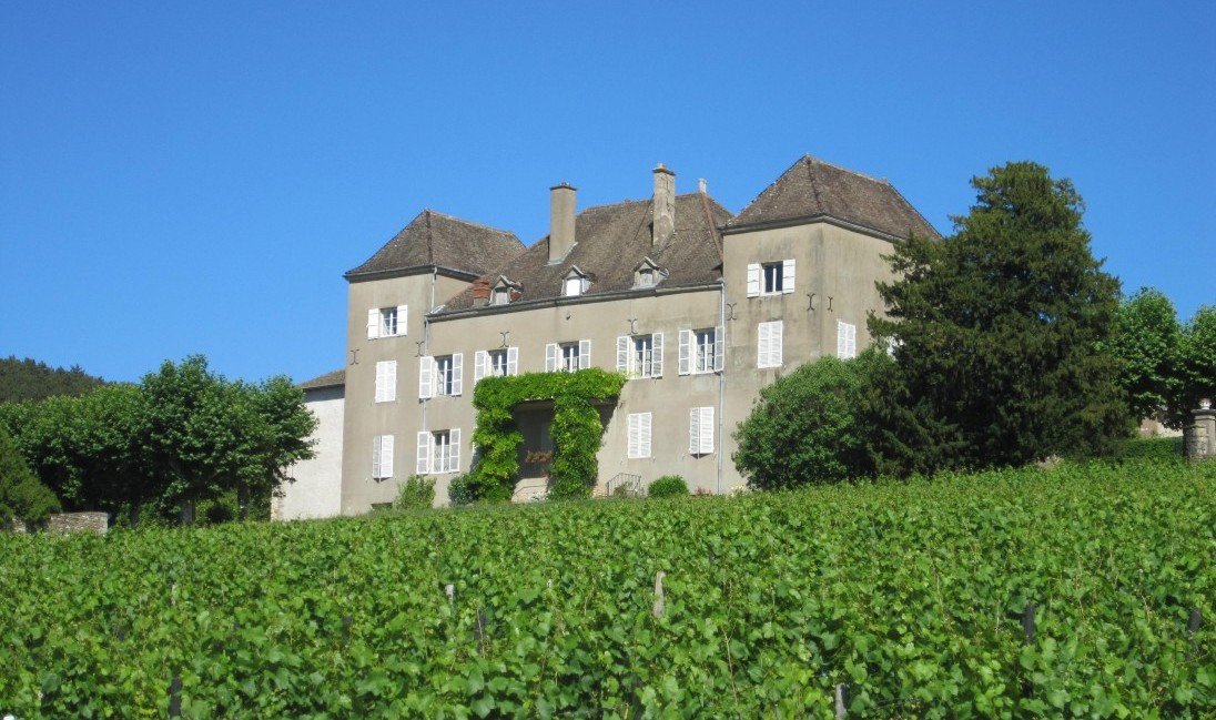 Cépages Chardonnay Pinot Noir Aligoté en Bourgogne