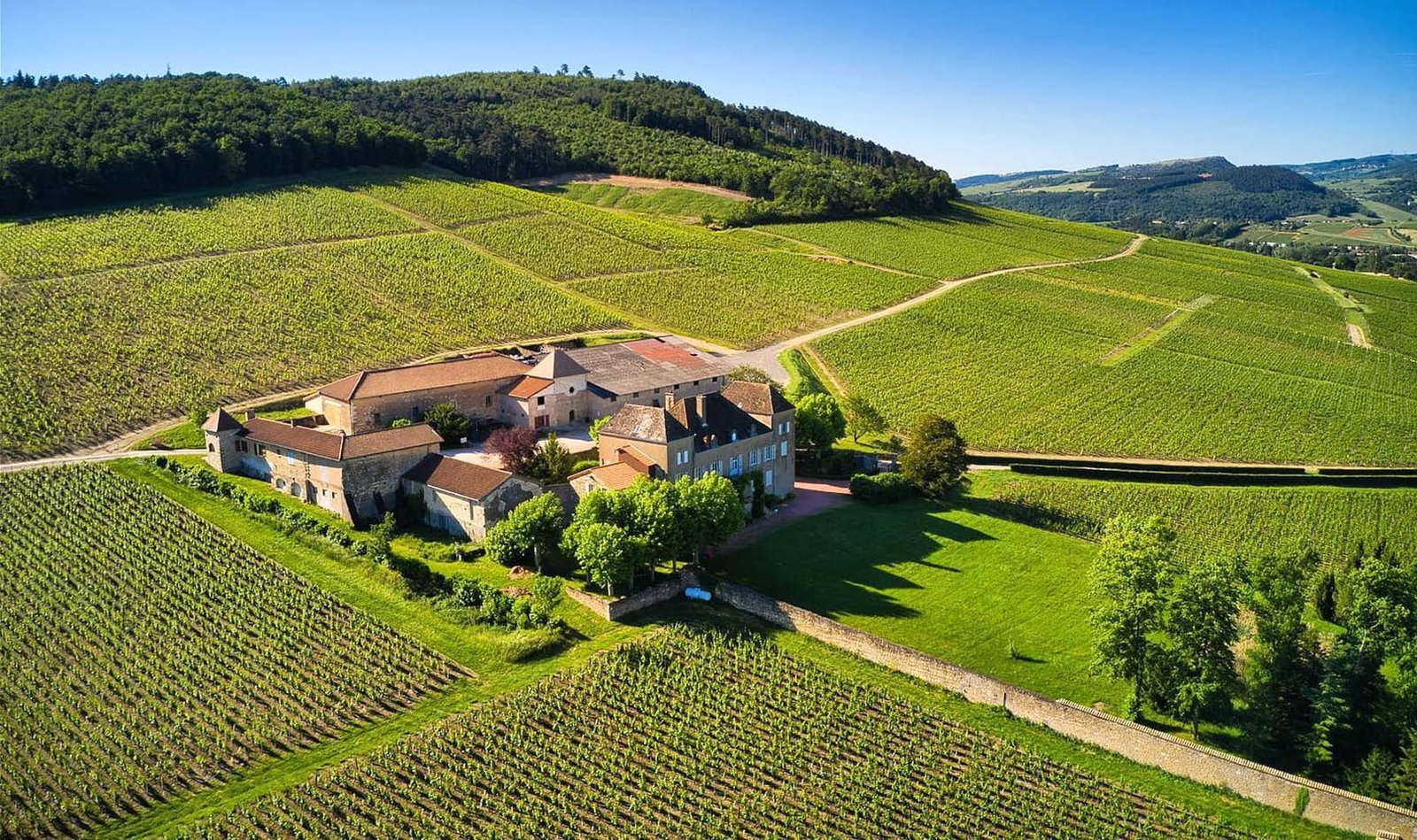 Terroir du Mâconnais et vignobles en Bourgogne