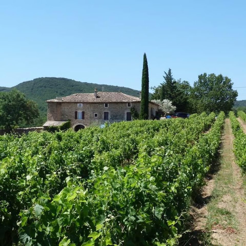 Travail de la vigne en biodynamie Demeter