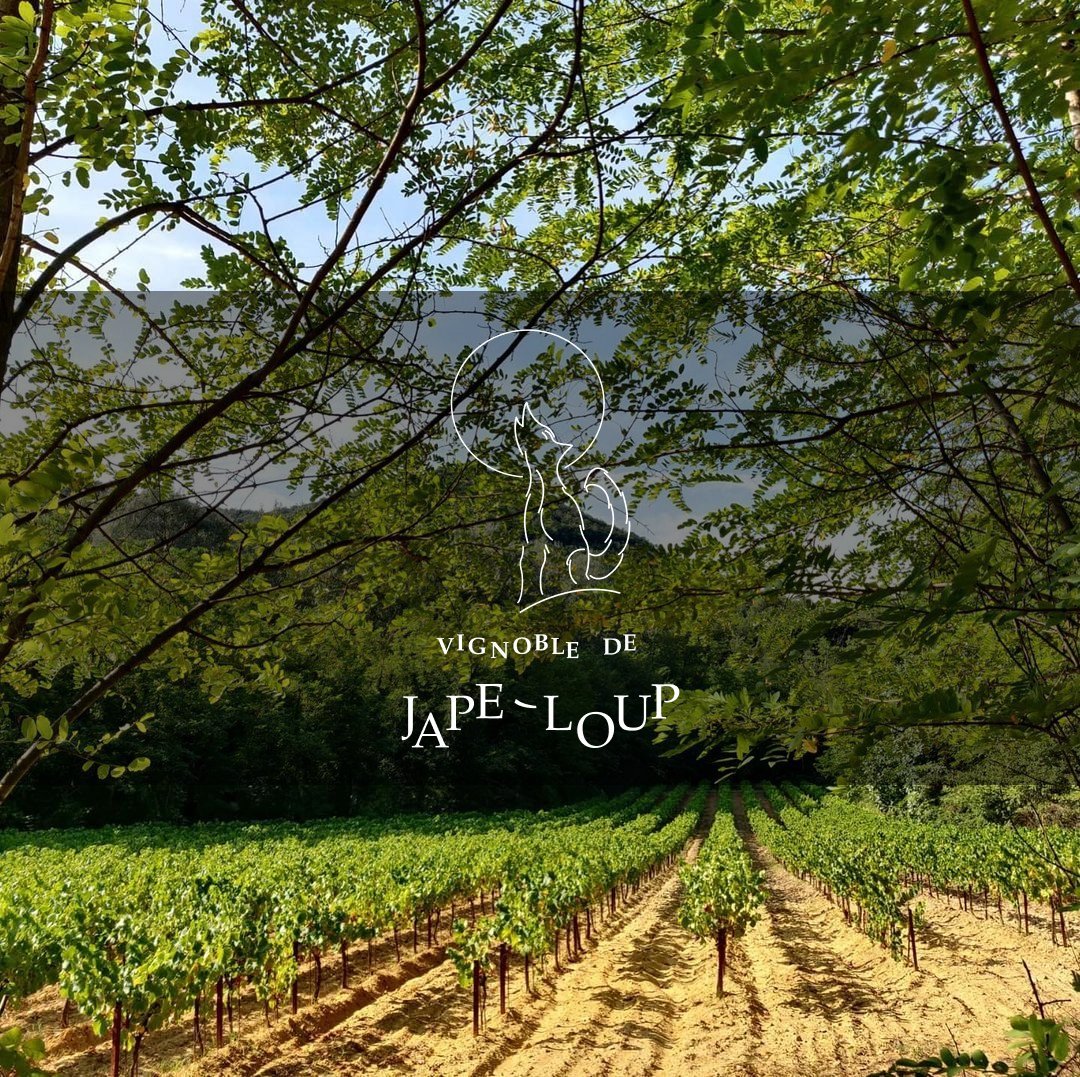 Vinification naturelle aux levures indigènes