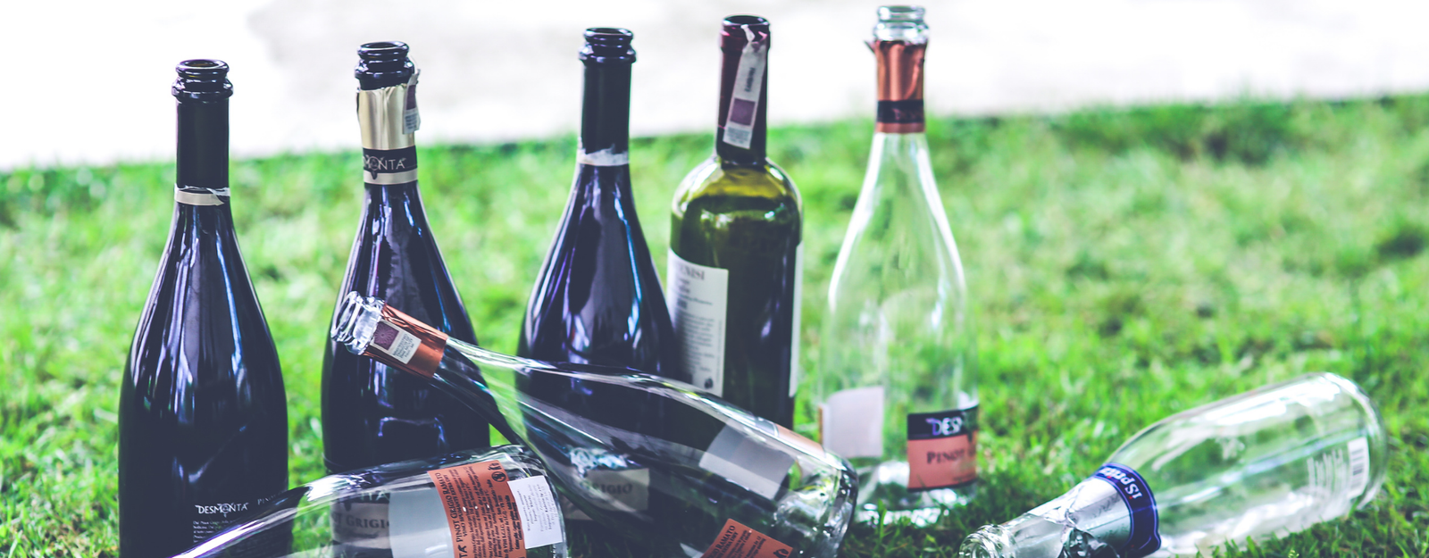 Fête de la musique 2026 : combien de cubis de vin acheter pour 50 personnes ?