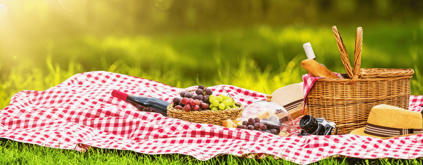Pourquoi choisir le vin en BiB pour vos pique-niques et sorties de printemps ?